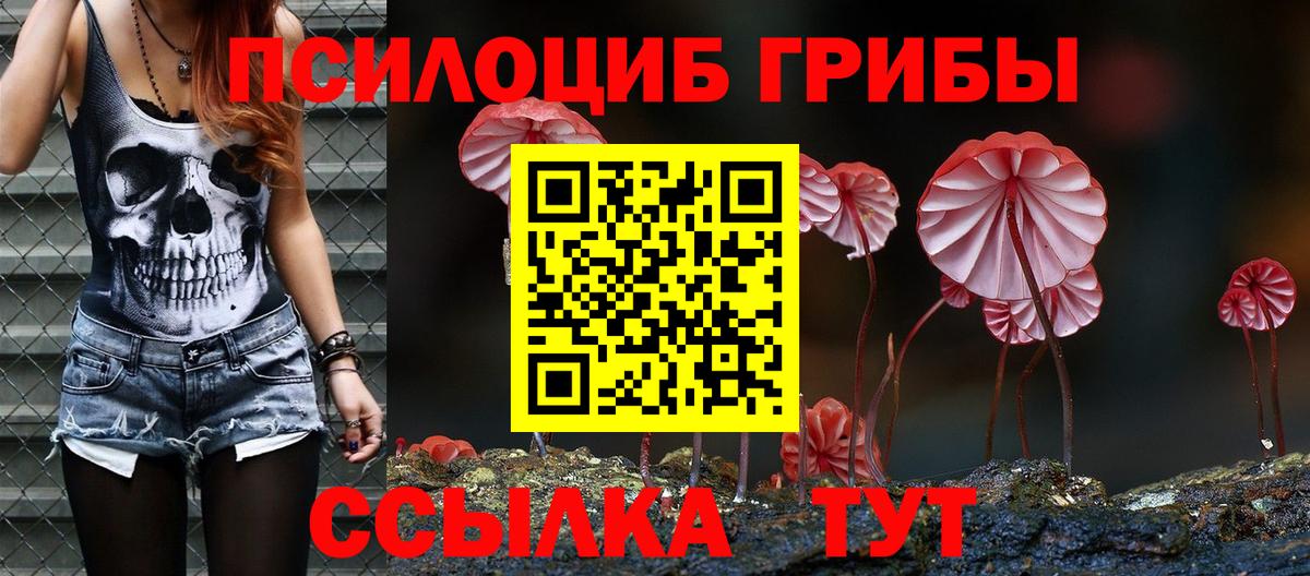 Псилоцибиновые грибы мухоморы Муром